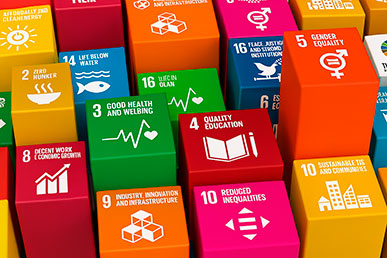 Commitment to the SDGs