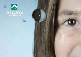 Memoria Anual 2010 (PDF, 7.1MB, se abre en una nueva ventana)