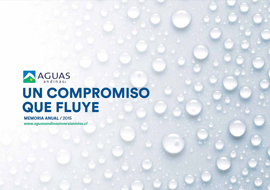 Memoria Anual 2015 (PDF, 4.3MB, se abre en una nueva ventana)